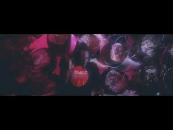 Video: Rob Vicious - Traplantic